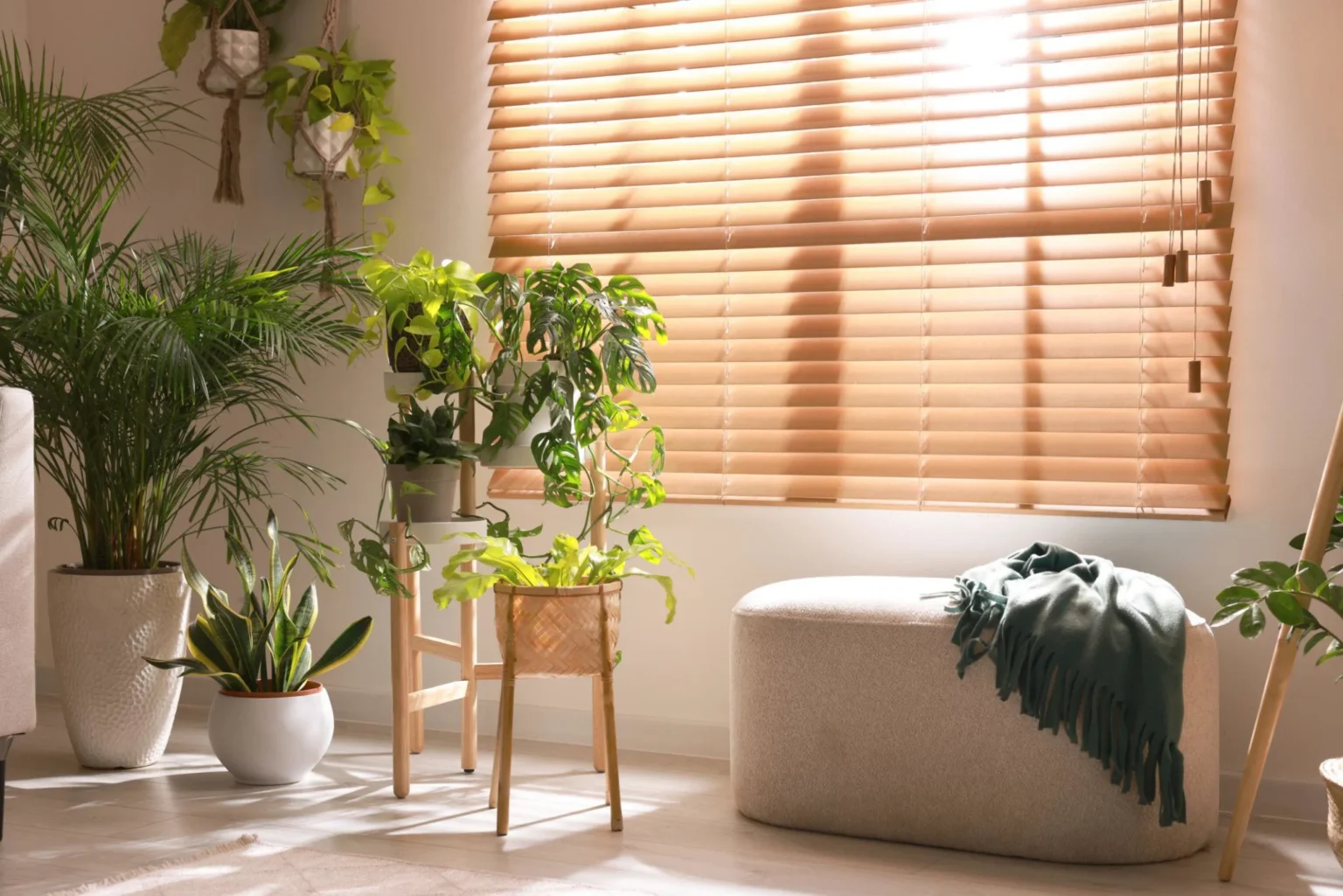 A cozy indoor plant corner with multiple houseplants, wooden blinds filtering sunlight, a soft ottoman, and natural decor creating a calm aesthetic space.